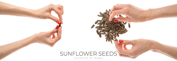 Fototapeta premium Female hand sunflower seeds on a white background isolation