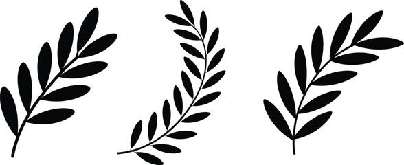 Black silhouette of olive branches and leaves with branches botanical decoration silhouette © anowara