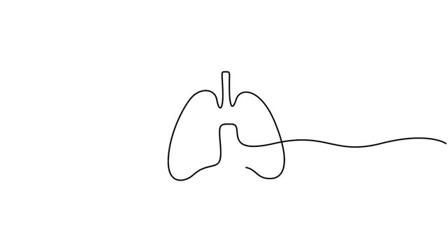 One Line Drawing Human Lungs Animation for Minimalist Healthcare Concept Continuous Line Art Lungs Organ Motion Graphic on White Background