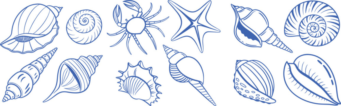 Blue seashells and starfish line art set with detailed ocean shell shapes and spiral forms in clean outline style. Marine illustration collection ideal for beach themes, patterns, and summer designs. 