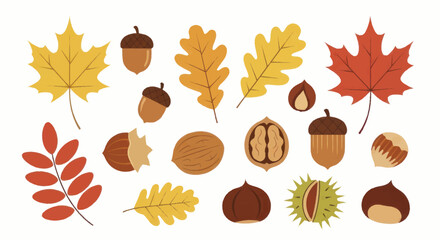 Autumn Harvest Collection - Vibrant Leaves and Assorted Nuts. © Truk