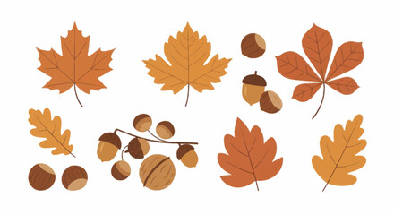 Autumn Leaves and Nuts Collection. © Truk