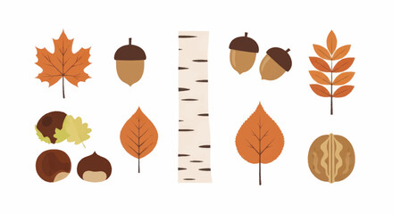 Autumnal collection of leaves, acorns, chestnuts, and birch bark elements. © Truk