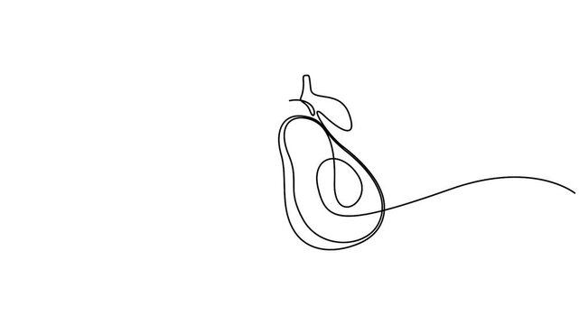 Self animated minimalist continuous one line drawing of avocados