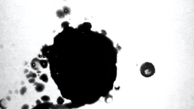 Central Ink Blot with Satellite Drops Video Overlay - Core Splash Radial Footage Orbital Ink Effect for Data Visualization Centrality Design UI Loading Expand Science Atomic Diagram Game AOE Skill