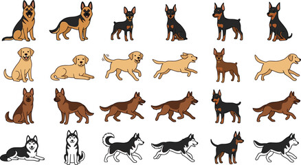 Various Dog Breeds Pose Collection Vector Illustration Featuring German Shepherd Doberman Labrador Husky and Mixed Canine Animals Running Sitting and Walking for Pet Design Set. © MstSuborna