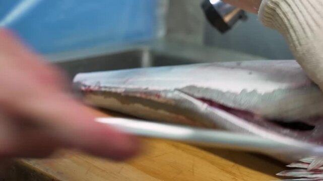 Close-up shot of a skilled chef's hands wearing a protective glove, carefully using a sharp knife to gut and fillet a fresh whole fish on a wooden board in a commercial kitchen. Ideal for culinary tut