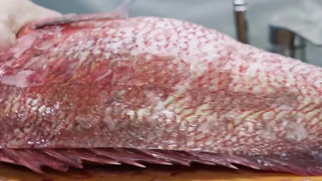 High-angle, close-up shot of a chef meticulously removing scales from a fresh, raw red sea perch (red snapper) on a wooden cutting board in a professional kitchen environment.