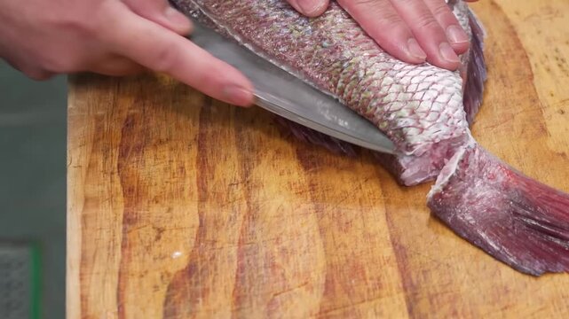 High-angle, close-up footage of a professional chef using a sharp fillet knife to expertly debone and fillet a fresh whole red snapper on a rustic wooden cutting board. The video showcases detailed kn