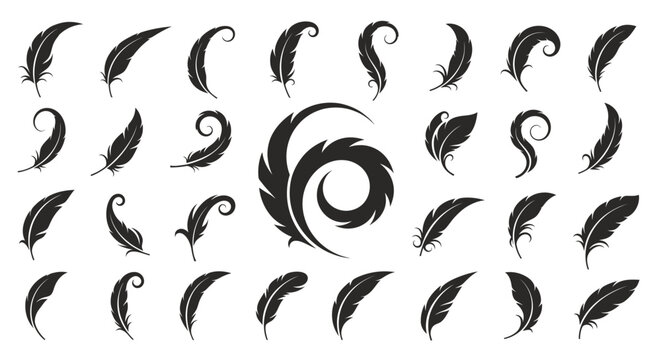 Abstract collection of black feathers arranged around a central spiral motif in a decorative vector pattern.