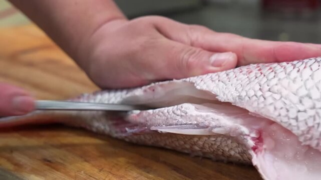 Close-up shot of a chef's hands skillfully using a sharp knife to fillet a fresh red snapper on a wooden cutting board. The video showcases the precise technique of separating the meat from the bone, 