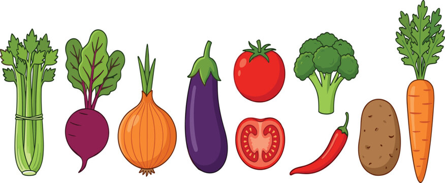 Fresh Vegetable Row Vector Illustration Featuring Celery Beetroot Onion Eggplant Tomato Broccoli Chili Potato and Carrot for Healthy Organic Food Design Collection