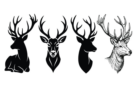 Set of Deer and Stag Head Silhouettes and Hand Drawn Sketches Vector Illustration Isolated on White for Wildlife and Nature Design