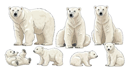 Collection of Polar Bears in Various Poses - Adults and Cubs © gan
