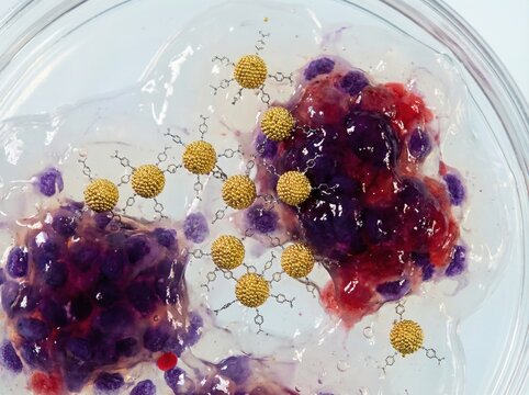Nanotechnology and nanosensors in biotechnology research scene
