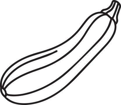 Fresh zucchini vegetable outline vector illustration for healthy food design and culinary educational materials isolated on white background