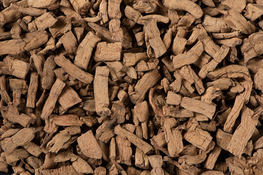 Dry codonopsis pilosula roots for traditional chinese medicine