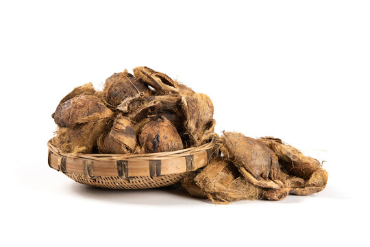 Pile of fresh cibotium barometz displaying its golden hair