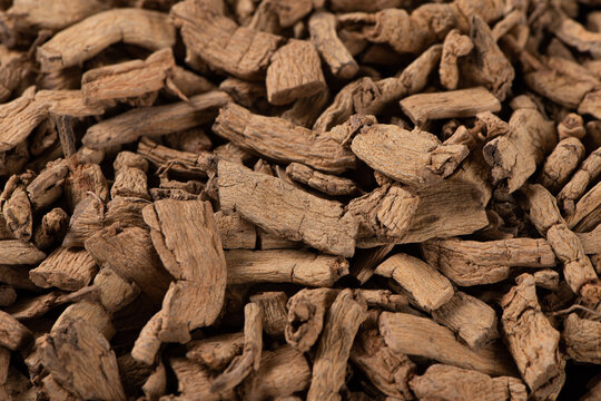 Dry codonopsis pilosula roots for traditional chinese medicine