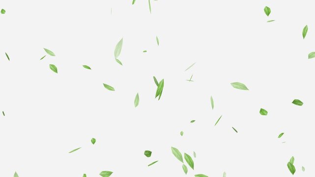 Flying Green leaves over black background. Element Overlay, Flying Green leaves over black background. Element Overlay, eaf falling.
Green Leaves flying with Alpha Channel,
