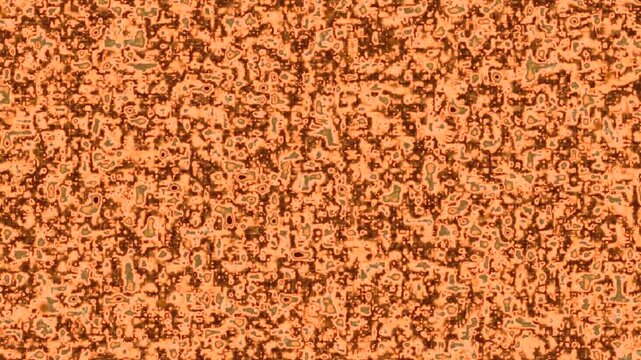 Orange digital static fills the screen. It pulses, flickers, and shimmers in hypnotic motion. No people, no animals, no plants appear