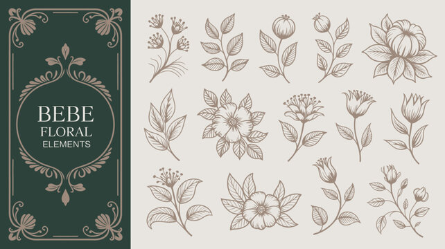 A vintage style illustration showcases various sketched floral elements arranged on a light beige background with ornate borders high quality professional detailed modern elegant stylish clean