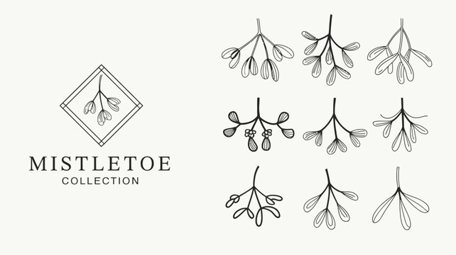 A collection of delicate hand drawn mistletoe illustrations is displayed featuring symmetrical branches and leaves against a cream background high quality professional detailed modern elegant stylish