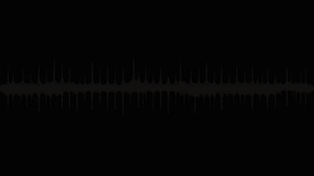 A detailed waveform visualization is prominently displayed against a completely black background representing sound or audio data high quality professional modern elegant stylish clean crisp vibrant