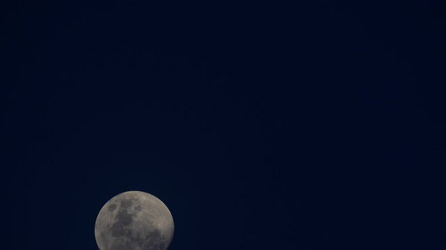 Large supermoon slowly ascending against dark blue sky. Detailed lunar surface.