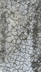 Naklejka premium Texture concrete wall of light grey color cement texture background.Grey pastel rough crack cement texture stone concrete,rock plastered stucco wall; painted flat fade background. Side view. gray.
