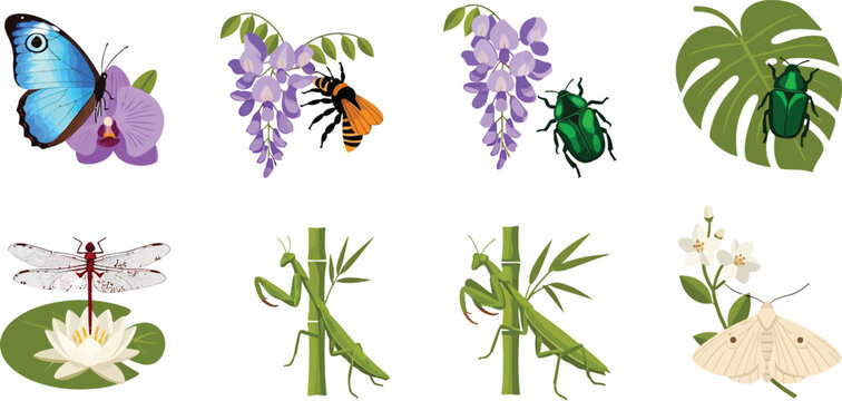 Collection of colorful insects and flora including butterflies bees beetles dragonflies praying mantises and moths in a flat vector illustration style for nature and science themes