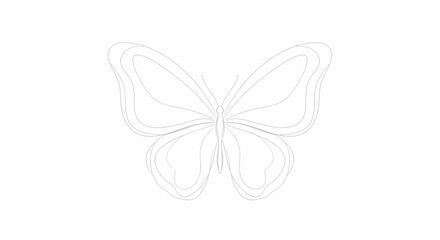 Butterfly Insect Wing Animal Outline Drawing. © Klip