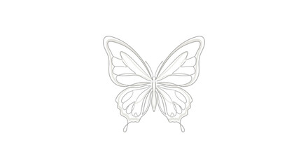 Detailed drawing of a butterfly. © Klip