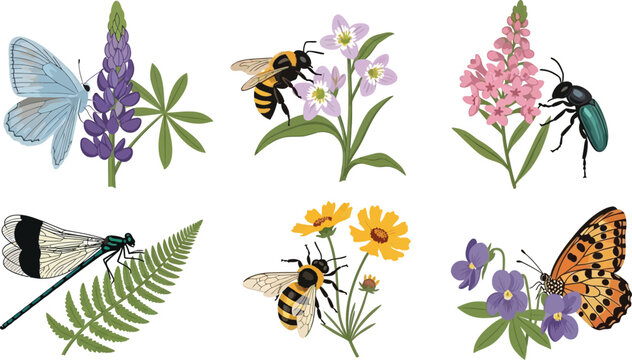 Collection of delicate insects and wildflowers including butterflies bees damselflies and beetles set against a white background for nature illustration and design