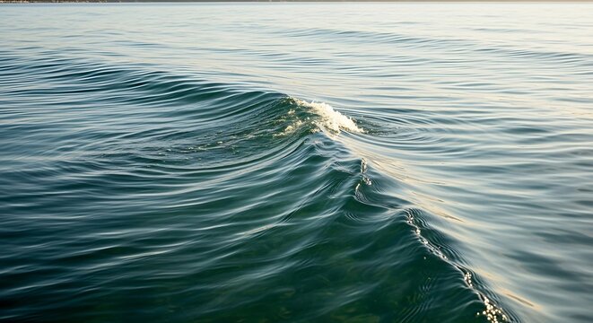 Calm ocean waves with sunlight reflection.