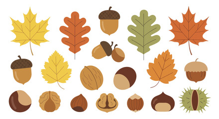 Autumn Leaves and Nuts Collection. © Ndog