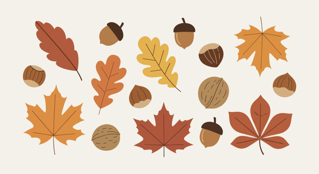 Autumn Leaves and Nuts Collection Seasonal Elements.