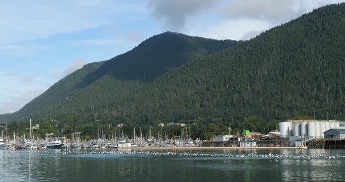 Sitka Channel, ANB Harbor in summer, Alaska, United States of America. Fishing in Sitka.