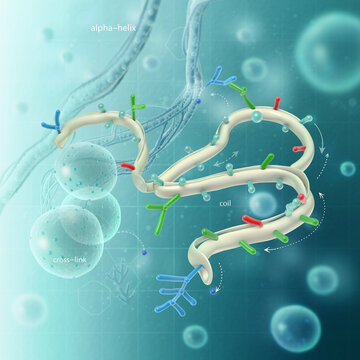 Anabaena cyanobacteria exhibit complex cell morphogenesis through cytoskeleton and CorMR system for DNA segregation and multicellularity