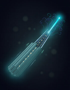 Anabaena cyanobacteria exhibit multicellularity through CorMR system and cytoskeleton