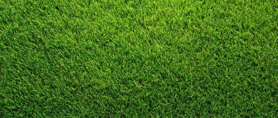 Fototapeta premium High resolution top down view of lush green grass field perfect for nature backgrounds or landscaping design textures. High quality photo