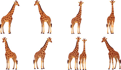 Giraffe illustration collection featuring African safari wildlife animals and savanna nature vector icons isolated background © MstTanzila