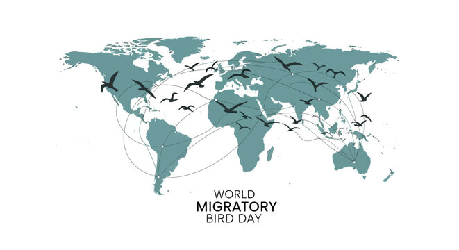 A vector illustration for World Migratory Bird Day displays flying bird silhouettes over a muted green map of the world with migration routes on a white background to promote wildlife