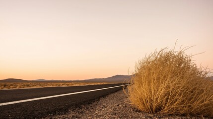 Fototapeta premium Desert Road with Tumbleweed at Sunset