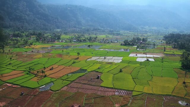Agam Regency, West Sumatra, April 30, 2026: Aerial video of the condition of agricultural land that has been restored after the natural disaster of flash floods at the end of November 2025.