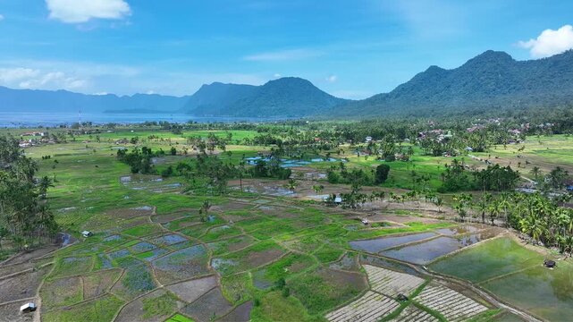 Agam Regency, West Sumatra, April 30, 2026: Aerial video of the condition of agricultural land that has been restored after the natural disaster of flash floods at the end of November 2025.
