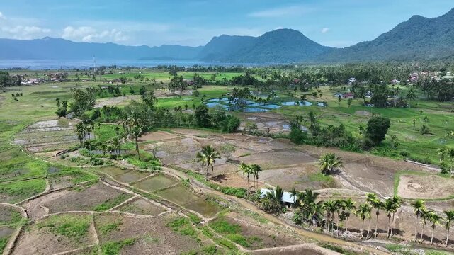Agam Regency, West Sumatra, April 30, 2026: Aerial video of the condition of agricultural land that has been restored after the natural disaster of flash floods at the end of November 2025.