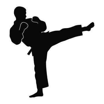 Silhouette of a martial arts practitioner delivering a powerful kick