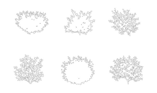 Minimalist architectural tree symbols, set of 6 line art bushes and shrubs, black and white landscape design vector elements for site plans