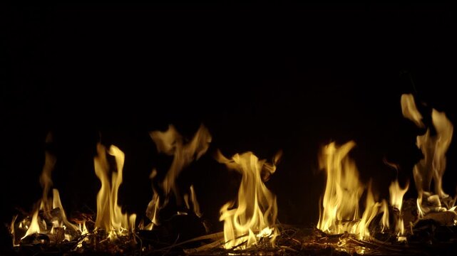 Fuego,llamas sobre fondo negro, hojas y peque&ntilde;as ramas quem&aacute;ndose